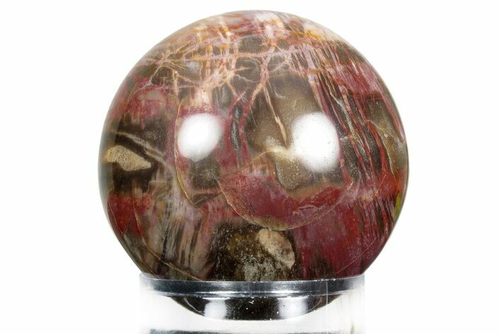 Colorful Petrified Wood (Araucaria) Sphere - Madagascar #229811